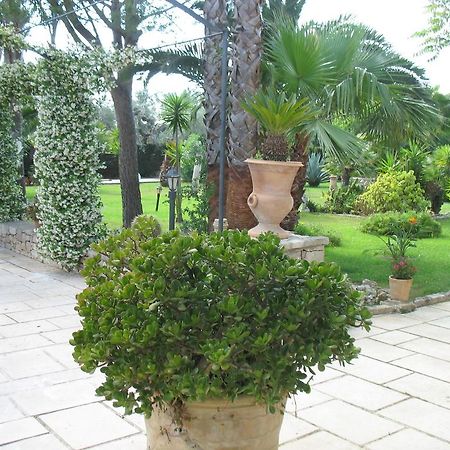 Villa Cecilia Matino Rum bild