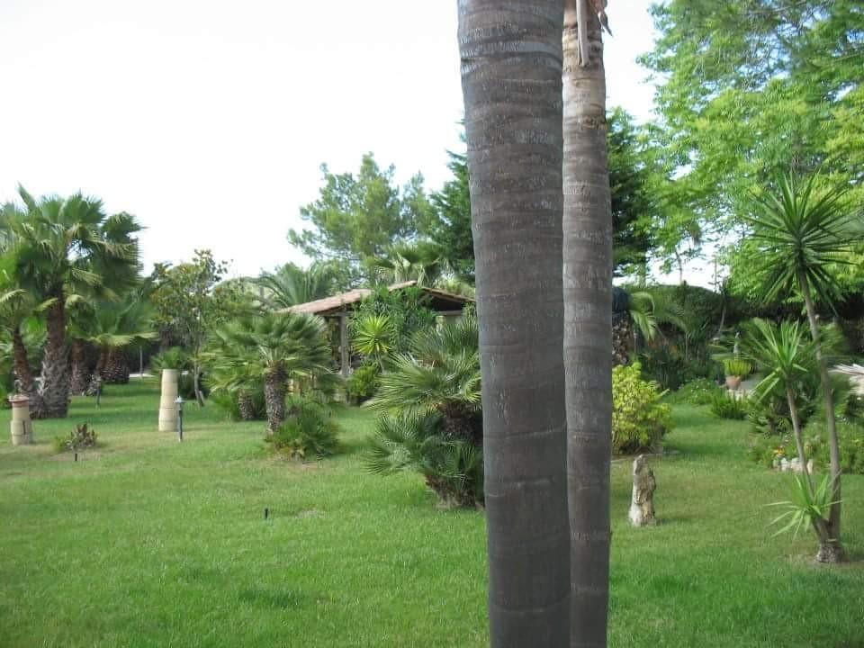Villa Cecilia Matino Exteriör bild